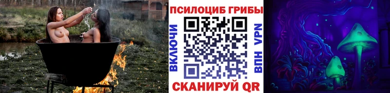 Галлюциногенные грибы Magic Shrooms  Купить  Ярославль 